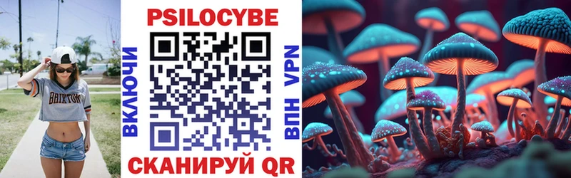 Псилоцибиновые грибы Psilocybine cubensis  KRAKEN ссылка  Сокол  дарнет шоп 