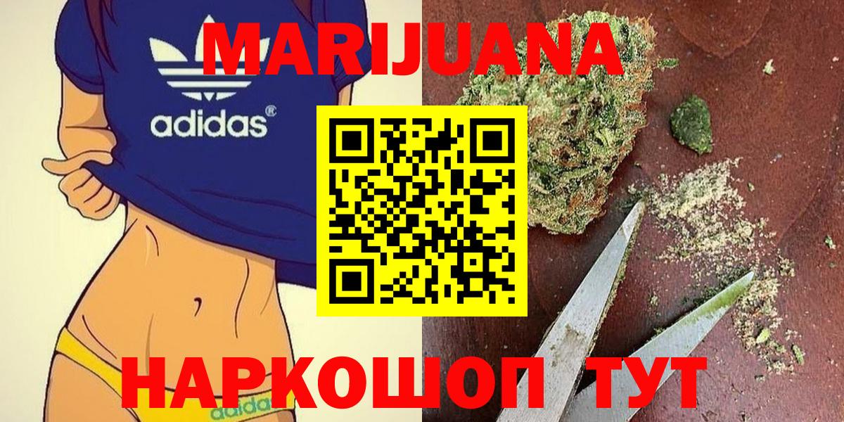 Бошки Шишки планчик Сокол